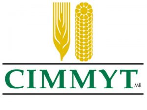 CIMMYT-Logo-300x225