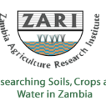zari-150x150